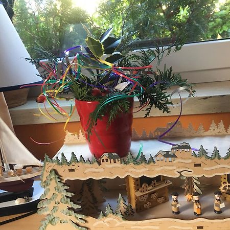 Ferienhaus Mit Terrasse - Insel Usedom Trassenheide Eksteriør billede