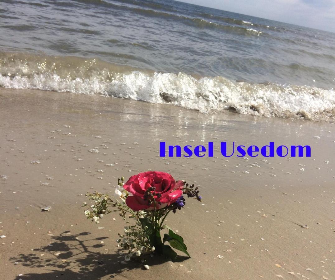 Ferienhaus Mit Terrasse - Insel Usedom Trassenheide Eksteriør billede